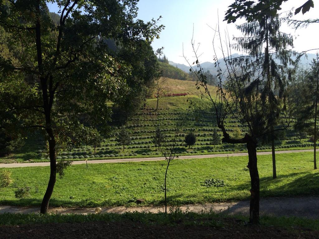 Casa Di OtelloMonte San Giovanni  エクステリア 写真
